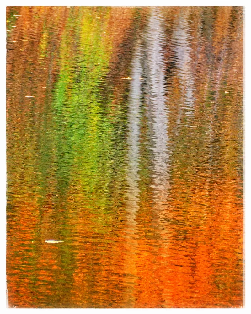 Liquid Autumn Leaves
