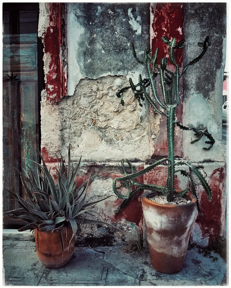 Walls Textures Signs photography in Merida